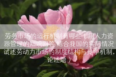 劳务市场的运行机制有哪些（用人力资源管理的知识回答 结合我国的实际情况试述劳动力市场的制度结构与竞争机制，论述题）