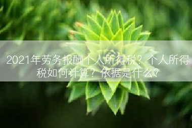 2021年劳务报酬个人所得税？个人所得税如何计算？依据是什么？
