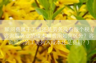 顾问费属于工资还是劳务没有报个税（咨询服务业的成本和费用如何区分？咨询顾问的工资列入成本还是费用?）