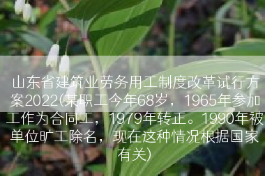 山东省建筑业劳务用工制度改革试行方案2022(某职工今年68岁，1965年参加工作为合同工，1979年转正。1990年被单位旷工除名，现在这种情况根据国家有关)