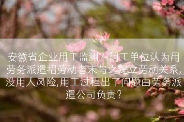 安徽省企业用工监测？用工单位认为用劳务派遣招劳动者未与之建立劳动关系,没用人风险,用工过程出了问题由劳务派遣公司负责？