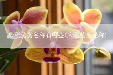 应税劳务名称有哪些(应税劳务名称)