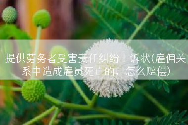 提供劳务者受害责任纠纷上诉状(雇佣关系中造成雇员死亡的，怎么赔偿)
