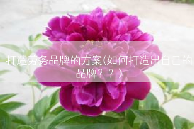 打造劳务品牌的方案(如何打造出自己的品牌？？)