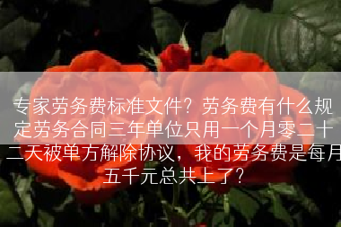 专家劳务费标准文件？劳务费有什么规定劳务合同三年单位只用一个月零二十二天被单方解除协议，我的劳务费是每月五千元总共上了？