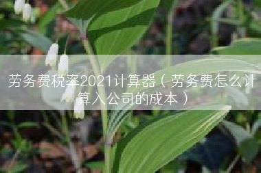劳务费税率2021计算器（劳务费怎么计算入公司的成本）