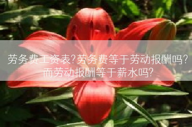 劳务费工资表?劳务费等于劳动报酬吗？而劳动报酬等于薪水吗?