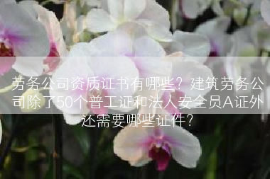 劳务公司资质证书有哪些？建筑劳务公司除了50个普工证和法人安全员A证外还需要哪些证件？