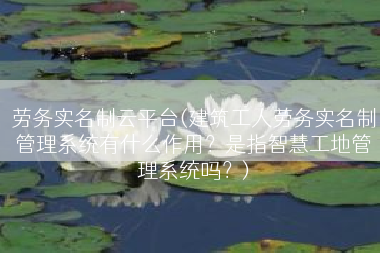 劳务实名制云平台(建筑工人劳务实名制管理系统有什么作用？是指智慧工地管理系统吗？)