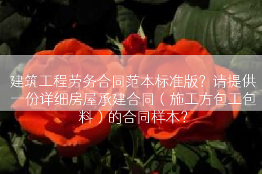 建筑工程劳务合同范本标准版？请提供一份详细房屋承建合同（施工方包工包料）的合同样本？