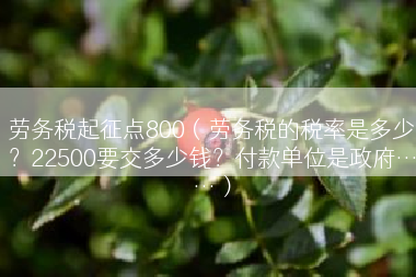 劳务税起征点800（劳务税的税率是多少？22500要交多少钱？付款单位是政府……）