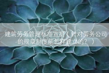 建筑劳务管理标准宣贯（针对劳务公司的规章制度是怎样建立的？）