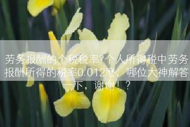 劳务报酬的个税税率?个人所得税中劳务报酬所得的税率0.012麽，哪位大神解答一下，谢谢！?
