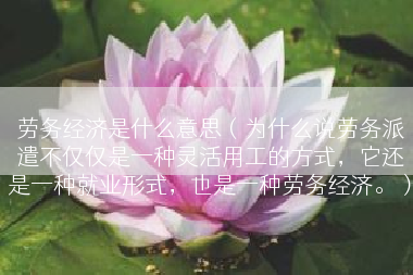 劳务经济是什么意思（为什么说劳务派遣不仅仅是一种灵活用工的方式，它还是一种就业形式，也是一种劳务经济。）