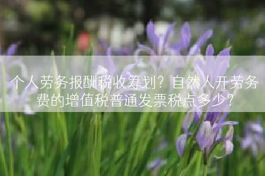 个人劳务报酬税收筹划？自然人开劳务费的增值税普通发票税点多少？