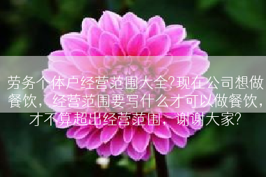 劳务个体户经营范围大全?现在公司想做餐饮，经营范围要写什么才可以做餐饮，才不算超出经营范围，谢谢大家?
