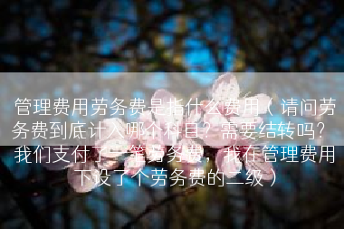 管理费用劳务费是指什么费用（请问劳务费到底计入哪个科目？需要结转吗？ 我们支付了一笔劳务费，我在管理费用下设了个劳务费的二级）