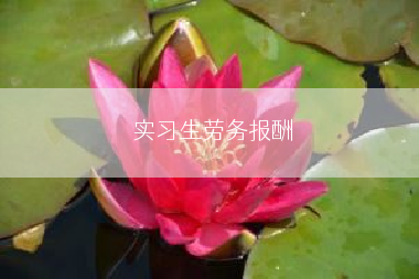 实习生劳务报酬