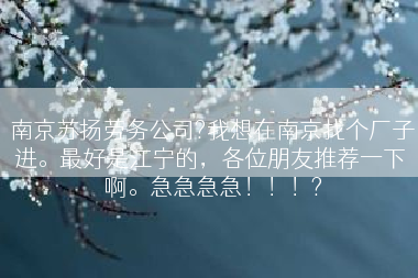南京苏扬劳务公司?我想在南京找个厂子进。最好是江宁的，各位朋友推荐一下 啊。急急急急！！！?