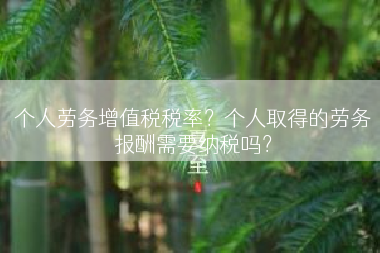 个人劳务增值税税率？个人取得的劳务报酬需要纳税吗？