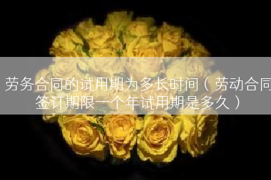 劳务合同的试用期为多长时间（劳动合同签订期限一个年试用期是多久）