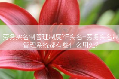 劳务实名制管理制度?E实名-劳务实名制管理系统都有些什么用处?