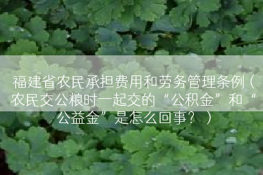 福建省农民承担费用和劳务管理条例（农民交公粮时一起交的“公积金”和“公益金”是怎么回事？）
