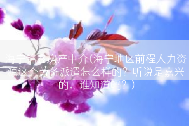 海宁锦鑫房产中介(海宁地区前程人力资源这个劳务派遣怎么样的？听说是嘉兴的，谁知道吗？)