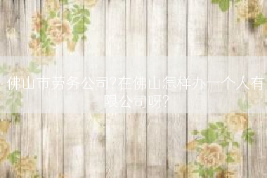 佛山市劳务公司?在佛山怎样办一个人有限公司呀?
