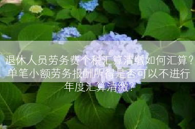 退休人员劳务费个税汇算清缴如何汇算？单笔小额劳务报酬所得是否可以不进行年度汇算清缴？