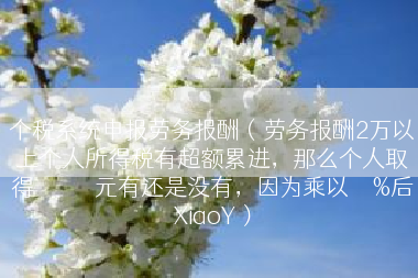 个税系统申报劳务报酬（劳务报酬2万以上个人所得税有超额累进，那么个人取得２４０００元有还是没有，因为乘以８０%后XiaoY）