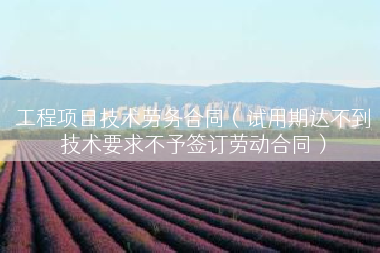 工程项目技术劳务合同（试用期达不到技术要求不予签订劳动合同）
