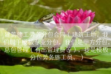 建筑施工劳务分包合同（建筑工地，我们属于模板专业分包，我们是甲方分包，总包管理（有出管理费等），我是模板分包劳务施工员，）