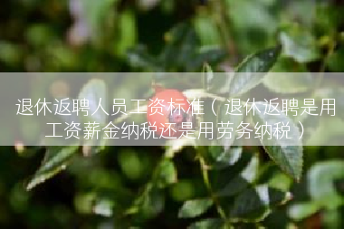 退休返聘人员工资标准（退休返聘是用工资薪金纳税还是用劳务纳税）