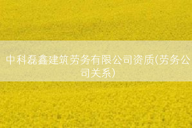 中科磊鑫建筑劳务有限公司资质(劳务公司关系)