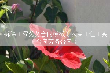 拆除工程劳务合同模板（农民工包工头合同劳务合同）