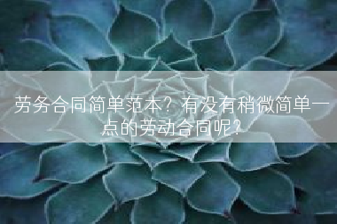 劳务合同简单范本？有没有稍微简单一点的劳动合同呢？