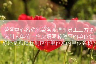 劳务中心名称？劳务派遣制员工三方协议用人单位一栏应填写我做事的单位名称还是派遣我到这个单位来的单位名称？