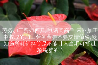 劳务加工费如何开票(请问高手:来料加工中收取的加工劳务费要不要交增值税,我知道所耗辅料等是不能计入当期可抵进项税额的.)