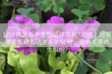 民法典劳务关系的法律依据?法律上对劳务关系和劳动关系的区别，劳务关系产生纠纷?