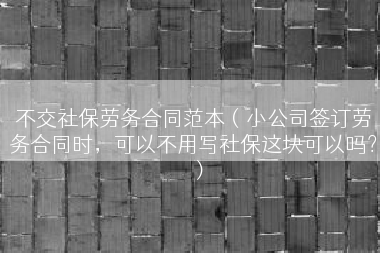 不交社保劳务合同范本（小公司签订劳务合同时，可以不用写社保这块可以吗？）