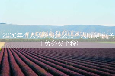 2020年个人劳务费怎么扣个人所得税(关于劳务费个税)