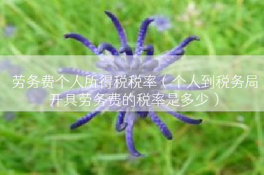 劳务费个人所得税税率（个人到税务局开具劳务费的税率是多少）