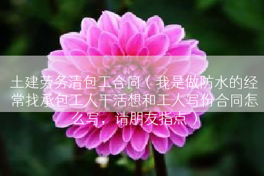 土建劳务清包工合同（我是做防水的经常找承包工人干活想和工人写份合同怎么写，请朋友指点）
