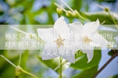 拖欠劳务费纠纷代理词?劳务合同纠纷，对方拒不支付报酬，起诉的话相关法律条文是哪些啊?