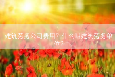 建筑劳务公司费用？什么叫建筑劳务单位？