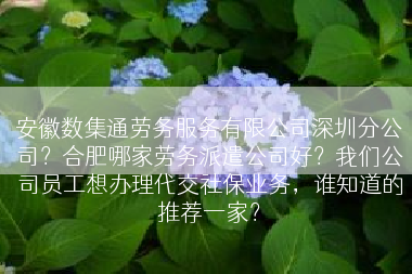 安徽数集通劳务服务有限公司深圳分公司？合肥哪家劳务派遣公司好？我们公司员工想办理代交社保业务，谁知道的推荐一家？