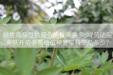 销售商品提供劳务的税率是多少?劳动服务队开劳务费增值税发票税率是多少?