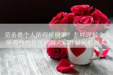 劳务费个人所得税税率？怎样理解个人所得税的居民纳税人和非居民纳税人？