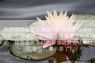 购买商品接受劳务支付的现金包括哪些范围?你好老师,请问现金流量表中购买商品、接受劳务支付的现金计算公式是什么,我现在拿不准了?